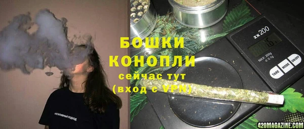 прущие грибы Бугульма