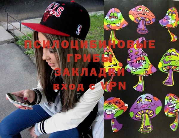 прущие грибы Бугульма