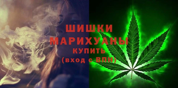 прущие грибы Бугульма