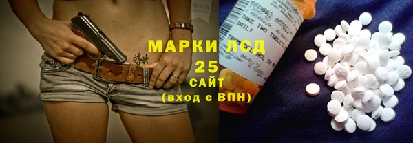 прущие грибы Бугульма