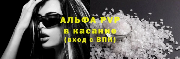 прущие грибы Бугульма