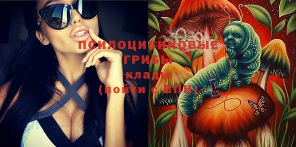 прущие грибы Бугульма