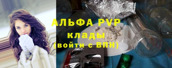 прущие грибы Бугульма