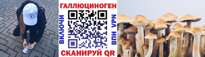 блэк спрут ССЫЛКА  Новохопёрск  Псилоцибиновые грибы Psilocybine cubensis 